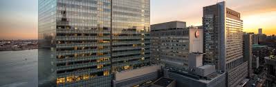 New York University Grossman School of Medicine